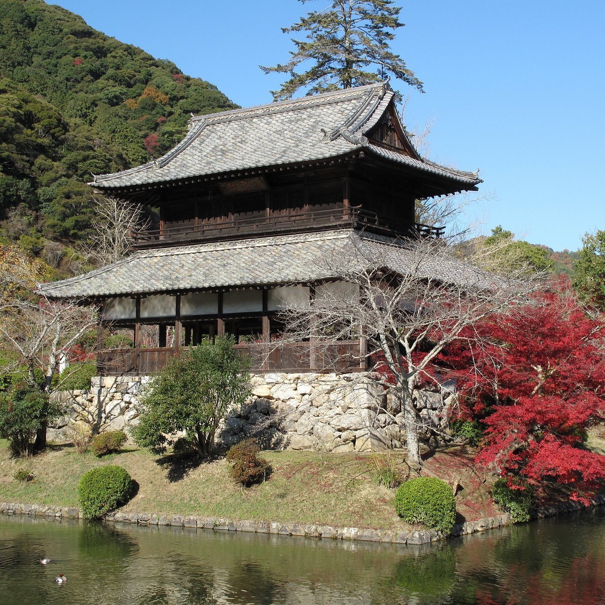 🌳 깃코 공원 이미지 10